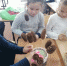 Мастер — класс «БУКЕТ ДЛЯ УЧИТЕЛЯ» - Город Задонск