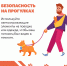 О правилах содержания домашних животных - Город Задонск