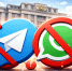 В Госдуме внесли инициативу о моратории на блокировки Telegram и WhatsApp* - Газета Задонская правда